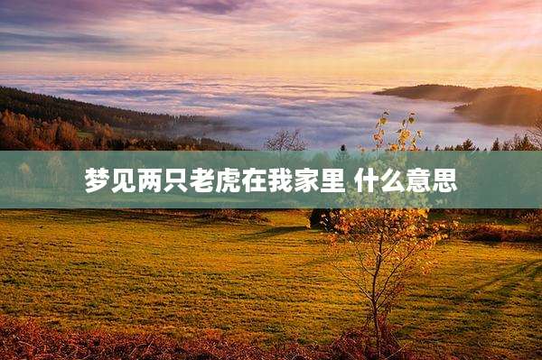 梦见两只老虎在我家里 什么意思