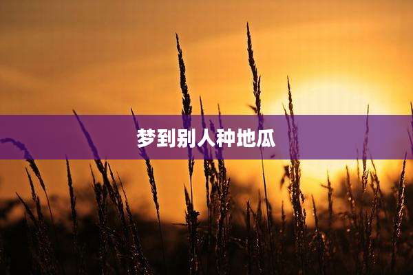 梦到别人种地瓜