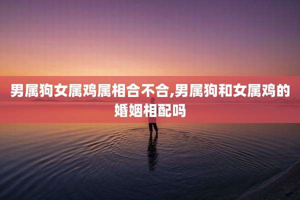 男属狗女属鸡属相合不合,男属狗和女属鸡的婚姻相配吗