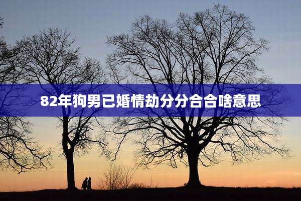 82年狗男已婚情劫分分合合啥意思