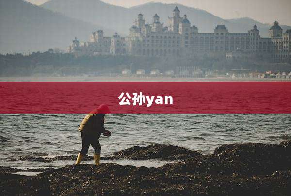公孙yan