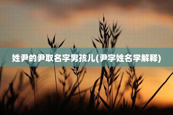 姓尹的尹取名字男孩儿(尹字姓名学解释)