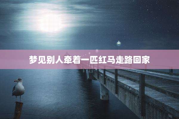 梦见别人牵着一匹红马走路回家
