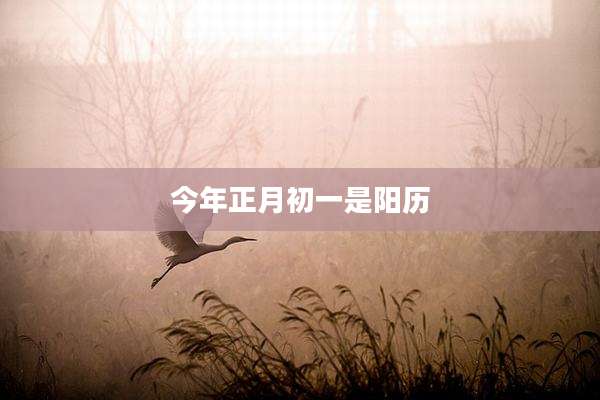今年正月初一是阳历