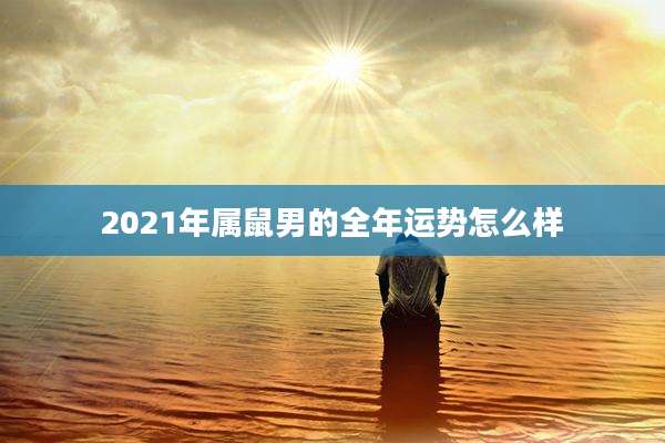 2021年属鼠男的全年运势怎么样