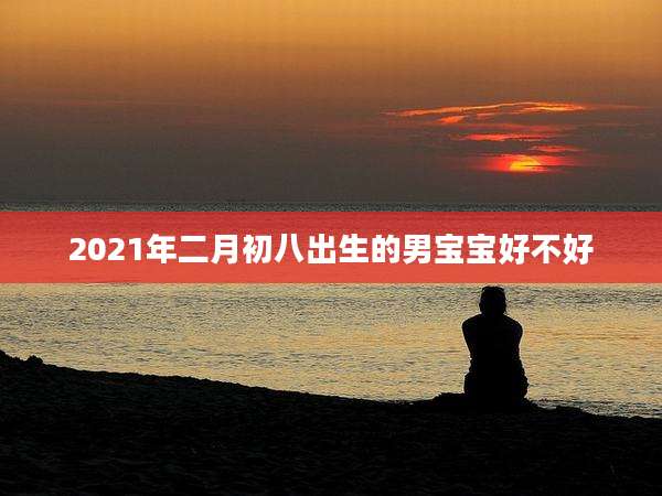 2021年二月初八出生的男宝宝好不好