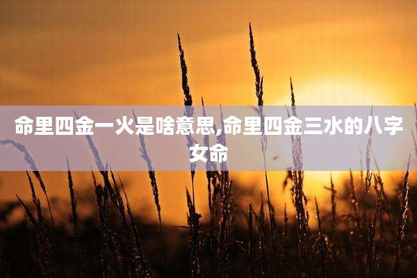 命里四金一火是啥意思,命里四金三水的八字女命