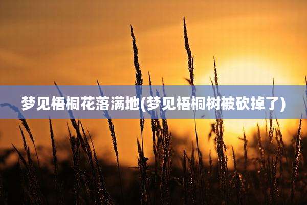 梦见梧桐花落满地(梦见梧桐树被砍掉了)