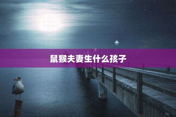 鼠猴夫妻生什么孩子
