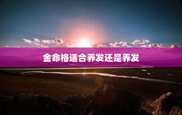 金命格适合养发还是养发