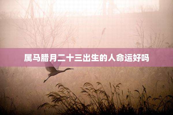 属马腊月二十三出生的人命运好吗