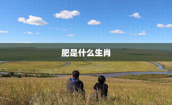 肥是什么生肖