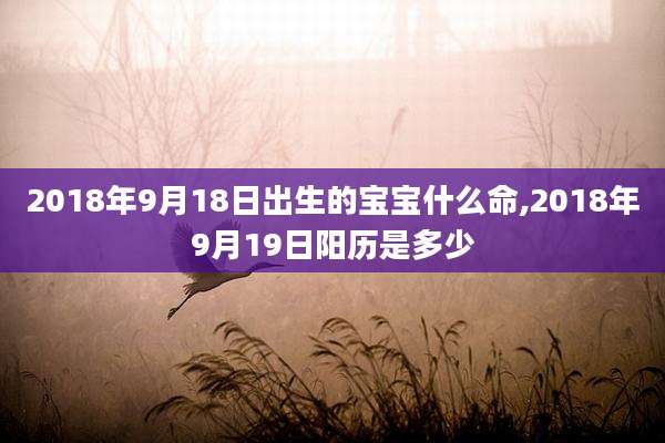 2018年9月18日出生的宝宝什么命,2018年9月19日阳历是多少
