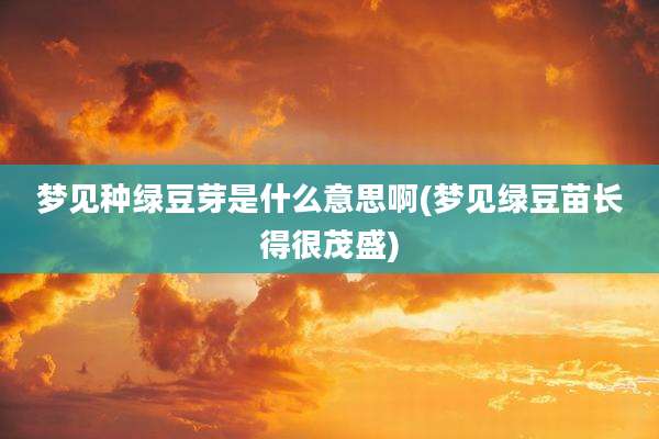 梦见种绿豆芽是什么意思啊(梦见绿豆苗长得很茂盛)