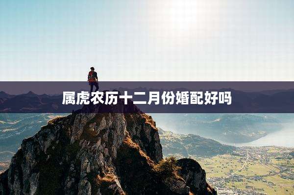 属虎农历十二月份婚配好吗