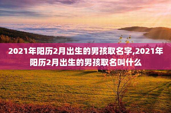 2021年阳历2月出生的男孩取名字,2021年阳历2月出生的男孩取名叫什么