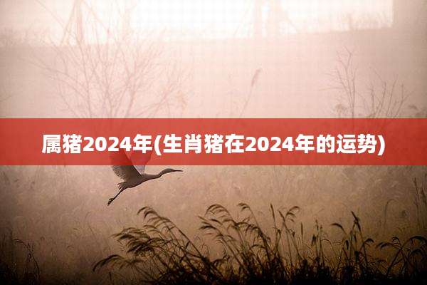 属猪2024年(生肖猪在2024年的运势)