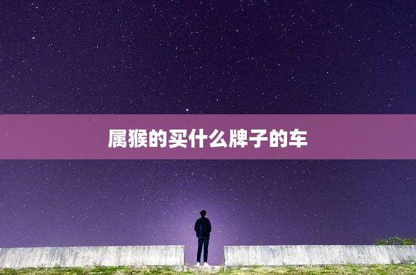 属猴的买什么牌子的车