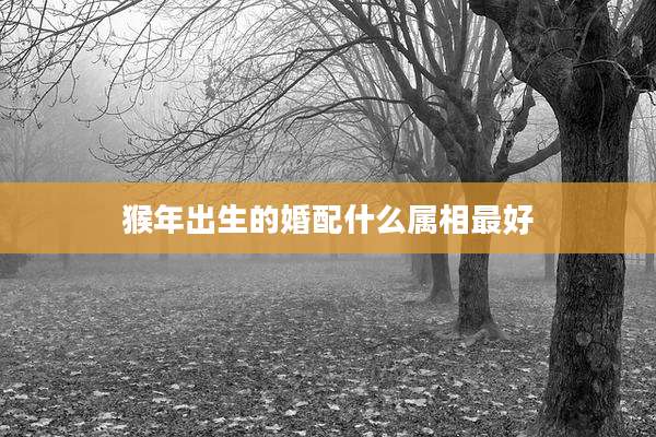 猴年出生的婚配什么属相最好