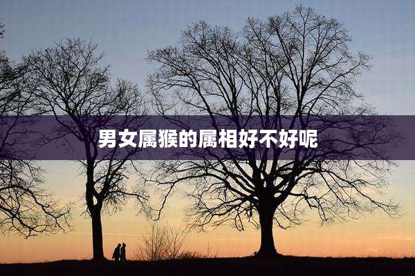 男女属猴的属相好不好呢