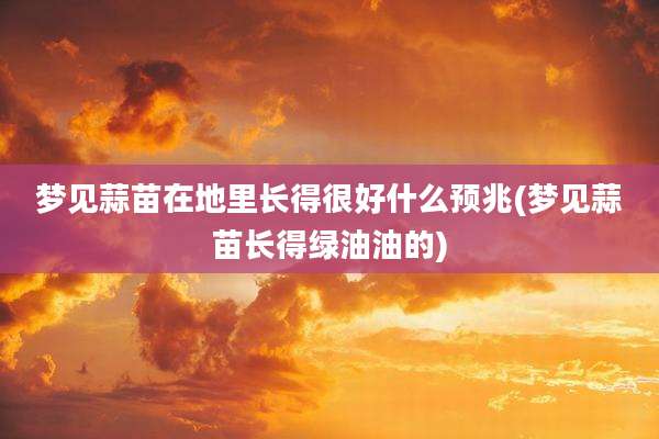梦见蒜苗在地里长得很好什么预兆(梦见蒜苗长得绿油油的)