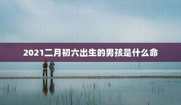 2021二月初六出生的男孩是什么命