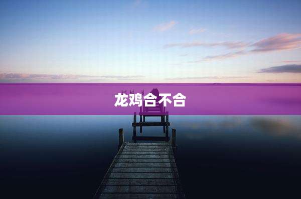 龙鸡合不合