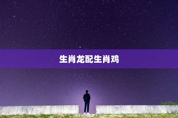 生肖龙配生肖鸡