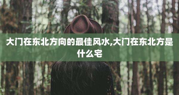 大门在东北方向的最佳风水,大门在东北方是什么宅