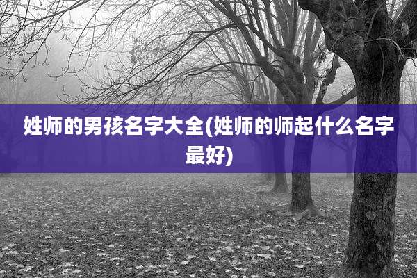 姓师的男孩名字大全(姓师的师起什么名字最好)