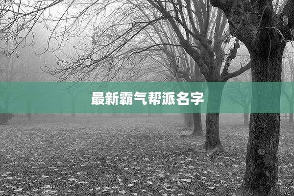 最新霸气帮派名字