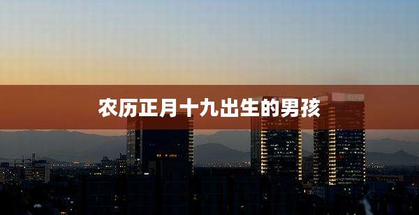 农历正月十九出生的男孩