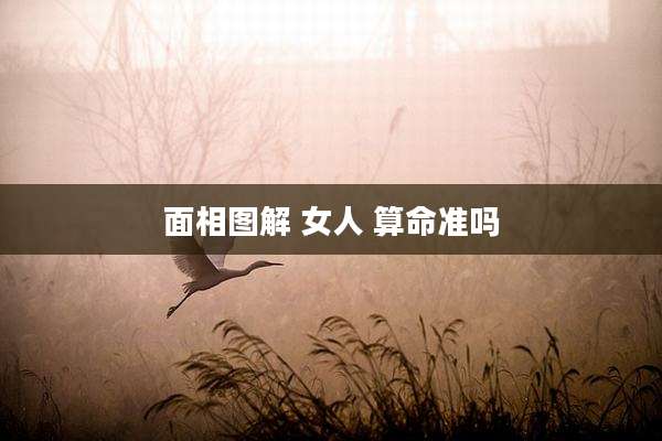 面相图解 女人 算命准吗