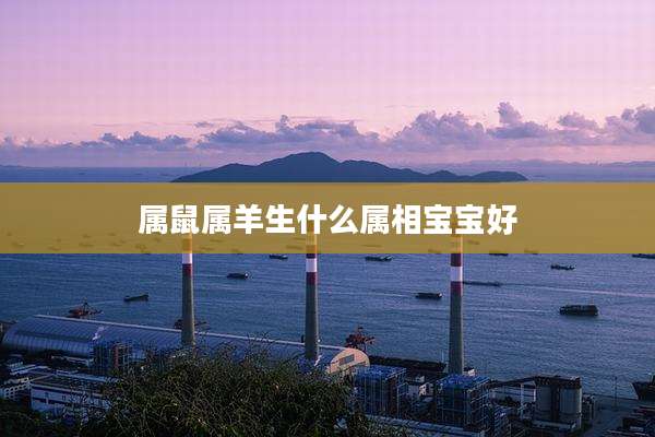 属鼠属羊生什么属相宝宝好