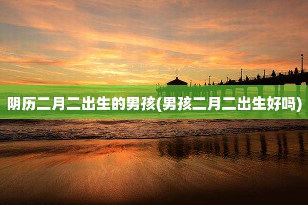 阴历二月二出生的男孩(男孩二月二出生好吗)