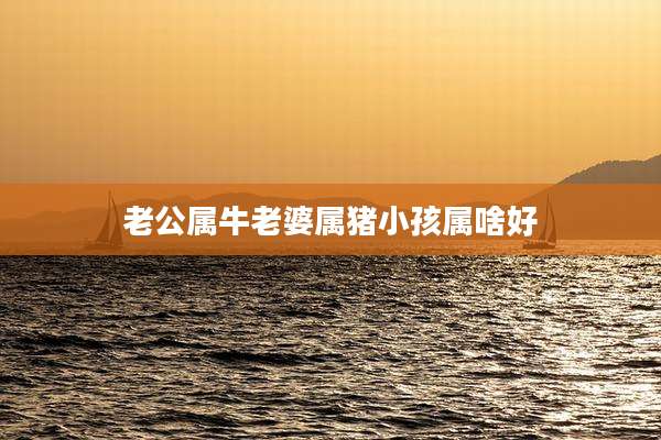 老公属牛老婆属猪小孩属啥好