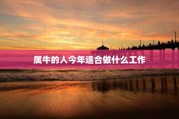 属牛的人今年适合做什么工作