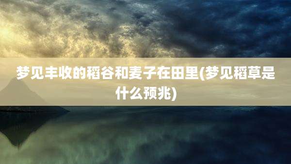 梦见丰收的稻谷和麦子在田里(梦见稻草是什么预兆)