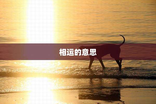 相运的意思