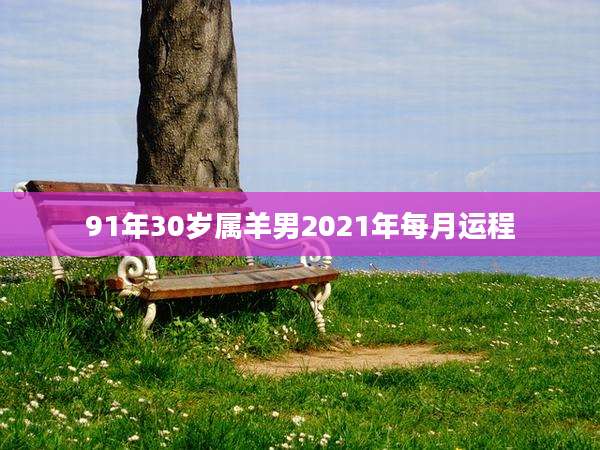 91年30岁属羊男2021年每月运程