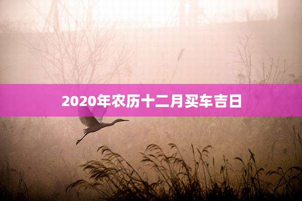 2020年农历十二月买车吉日
