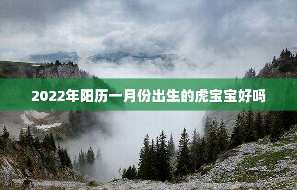 2022年阳历一月份出生的虎宝宝好吗