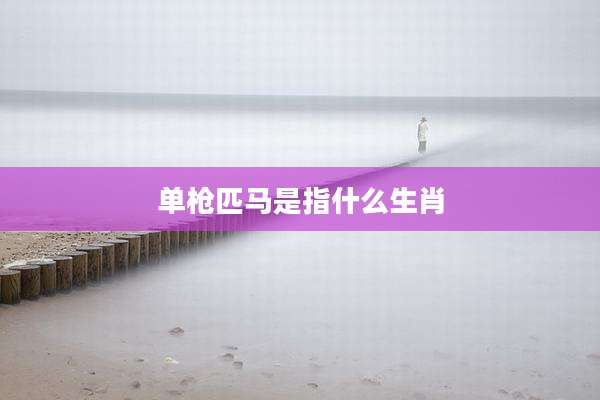 单枪匹马是指什么生肖