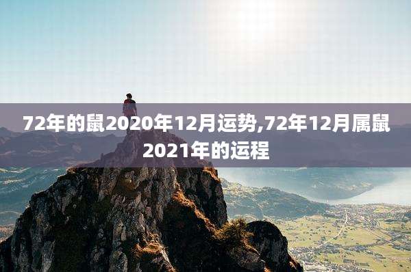 72年的鼠2020年12月运势,72年12月属鼠2021年的运程