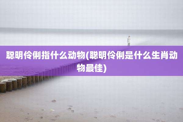 聪明伶俐指什么动物(聪明伶俐是什么生肖动物最佳)