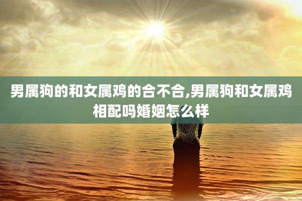 男属狗的和女属鸡的合不合,男属狗和女属鸡相配吗婚姻怎么样