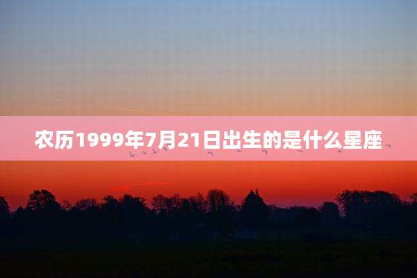农历1999年7月21日出生的是什么星座