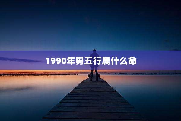 1990年男五行属什么命