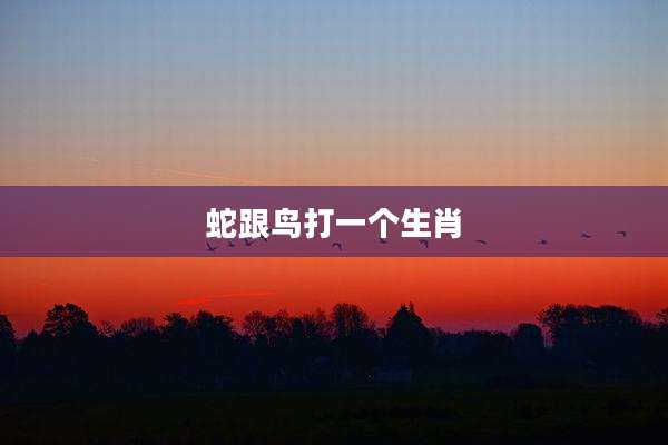 蛇跟鸟打一个生肖