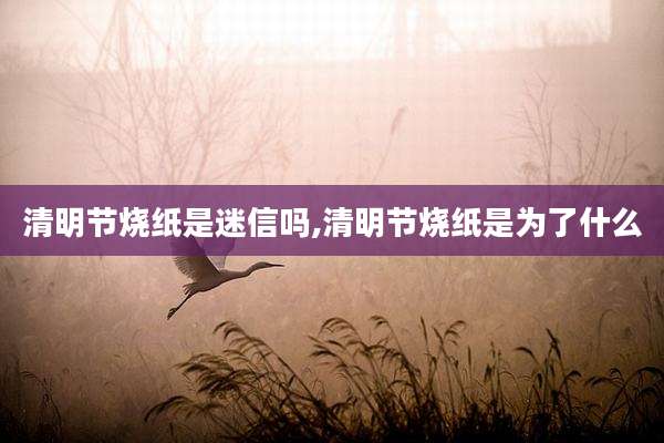清明节烧纸是迷信吗,清明节烧纸是为了什么